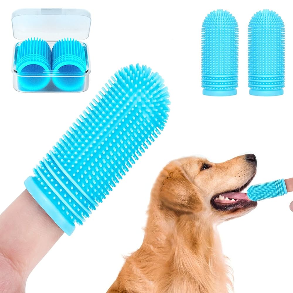 Cepillo de Dientes 360°