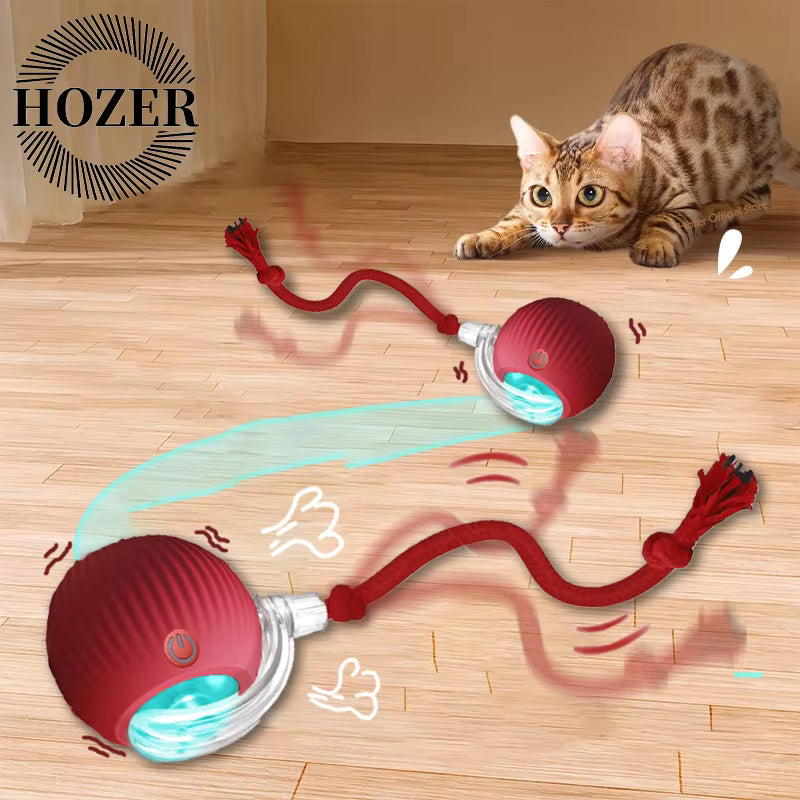 Juguete Interactivo de Pelota para Gatos y Perros