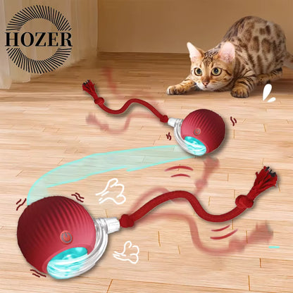 Juguete Interactivo de Pelota para Gatos y Perros